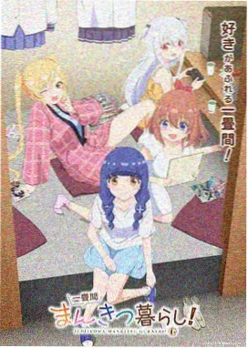 双人床单人间 动画海报